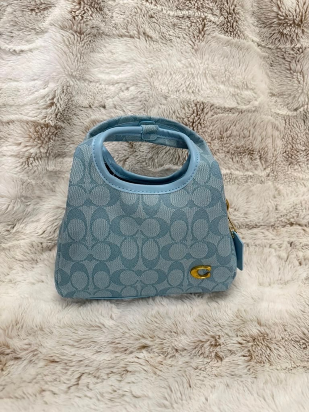 Coach Light Blue Signature Mini Tote Bag